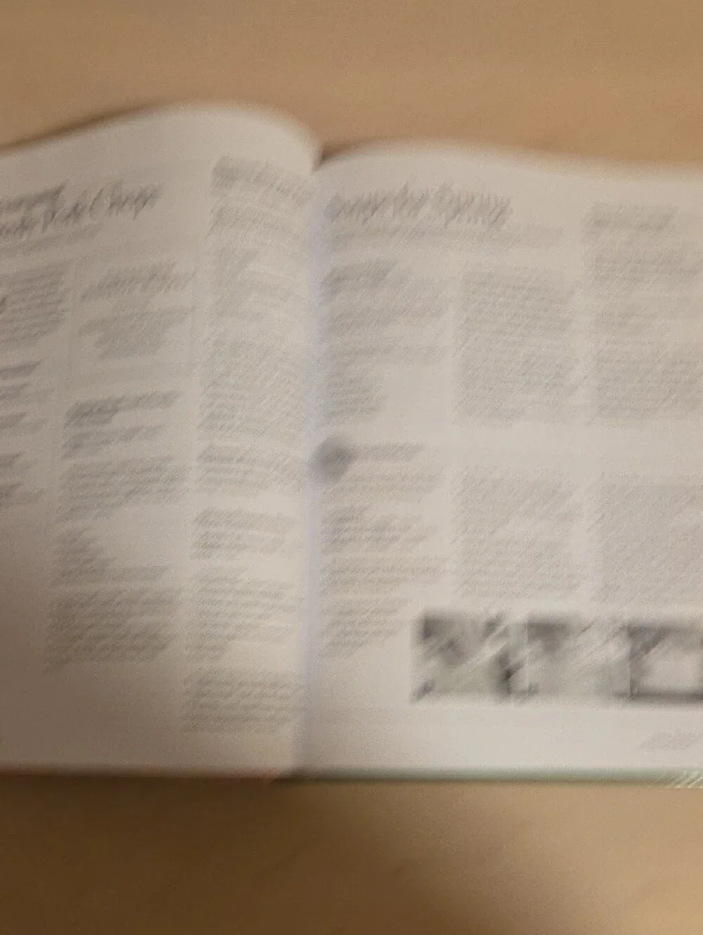 Southern Living 2009 Annual Recipes